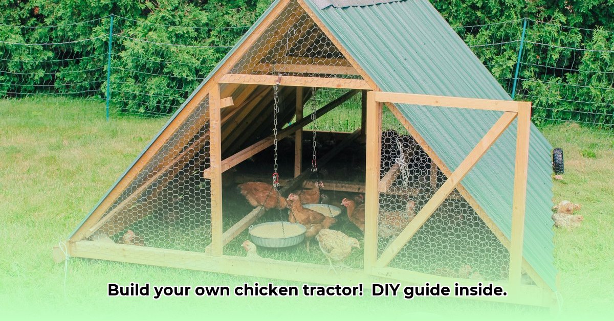 building-chicken-tractors
